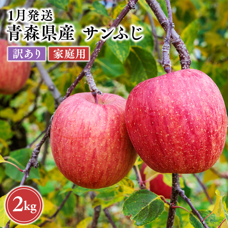 2027年1月発送　【訳あり】家庭用サンふじ 約2kg【原田農園】 家庭用 青森 青森県産 平川 りんご リンゴ 林檎 くだもの 果物 フルーツ 葉とらず サンふじ ふじ
