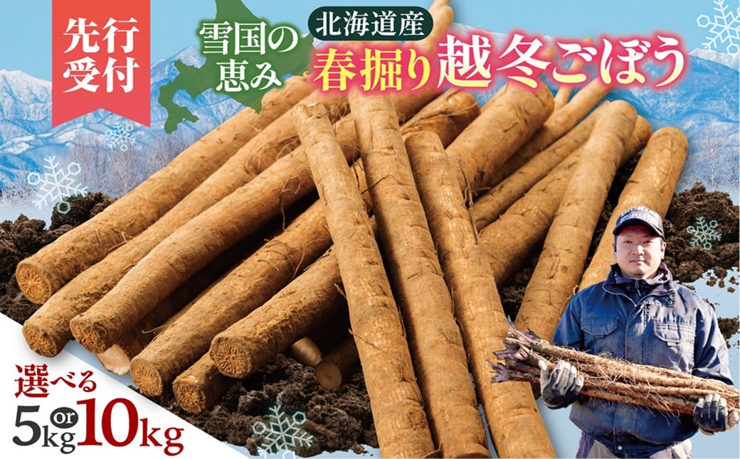 
            【選べる内容量】先行受付！2026年4月頃～発送開始！北海道十勝清水町産 春堀り 新鮮 越冬ごぼう！ 5kg 10kg 北海道産 ごぼう 土付ごぼう ゴボウ 根菜_S045
          