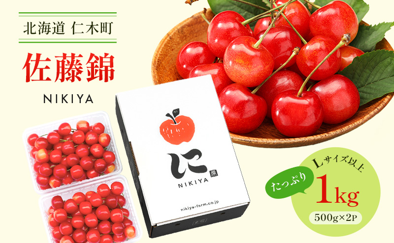 先行受付 北海道 仁木町産 さくらんぼ 佐藤錦 1kg（500g×2）Lサイズ以上 ジューシー 旬のフルーツ 旬の果物 国産 日本産 サクランボ チェリー フルーツ 果物 果物類 ギフト 仁木町 [ジャパーナプランニング株式会社]