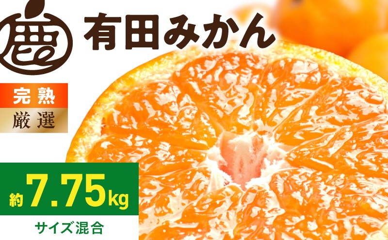 
                  【2026年先行予約】厳選 完熟 有田みかん約7.5kg 傷み補償 ＋250g 光センサー選果 サイズ混合 濃厚な味わい みかんどころ 柑橘 フルーツ 果実 デザート お取り寄せ 和歌山県 湯浅町 送料無料 _ZH7060
                