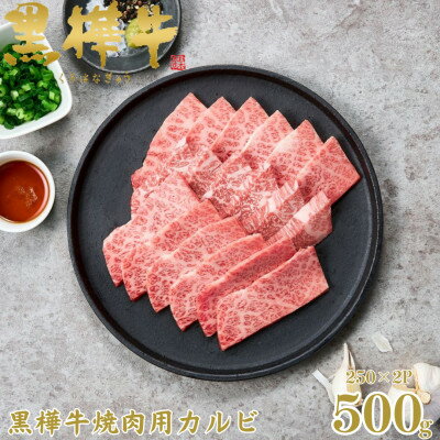 【ふるさと納税】くまもと黒毛和牛 黒樺牛 A4～A5等級 牛肉カルビ 500g 250g×2【杉本本店】(美里町)【配送不可地域：離島】【1617228】