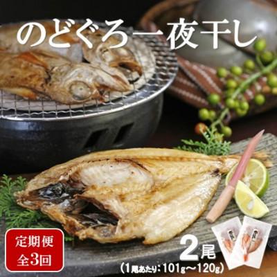 ふるさと納税 大田市 【毎月定期便】のどぐろ一夜干し 2尾(1尾あたり101〜120g)全3回