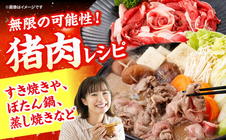 猪肉切り落とし1kg[SDB015] 猪