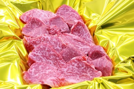 松阪牛　ヒレ　焼肉用　500g　B-68／冷凍　瀬古食品　ふるさと納税　牛肉　松阪肉　BBQ　キャンプ　名産　ブランド　霜ふり本舗　三重県　大紀町