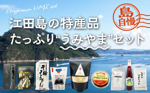 【江田島自慢の特産品】江田島の恵みたっぷり うみやま セット ドレッシング はちみつ オイル 人気 簡単 ギフト 広島県産 瀬戸内海 牡蠣 かき カキ オリーブオイル うどん 麺 味噌 醤油 調味料 特産品 カレー レトルト シーフード ギフト 人気 高品質 好評 広島県産 江田島市/江田島市観光協会 [XAI005]