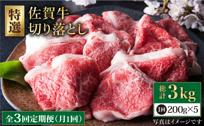 【全3回定期便】佐賀牛 切り落とし 1kg （200g×5パック）【肉の三栄】 [HAA080]