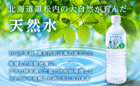 【定期便7カ月】黒松内銘水 水彩の森 500ml×48本（2箱）北海道 ミネラルウォーター 天然水 国産 国内 硬水 中硬水 ナチュラル ミネラル 天然水 アウトドア キャンプ 飲料水 防災 災害 備