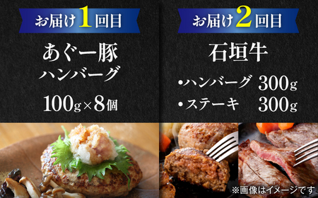 【全6回定期便】沖縄のお肉贅沢セット ハンバーグ あぐー 石垣牛 ステーキ 焼肉 冷凍