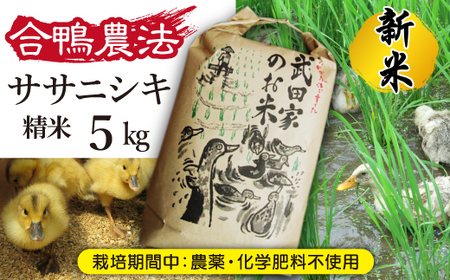 《令和５年度産》武田家のお米 ササニシキ（精米）5kg＜合鴨農法＞【米農家 仁左ェ門】 / 米 白米 ５キロ アイガモ