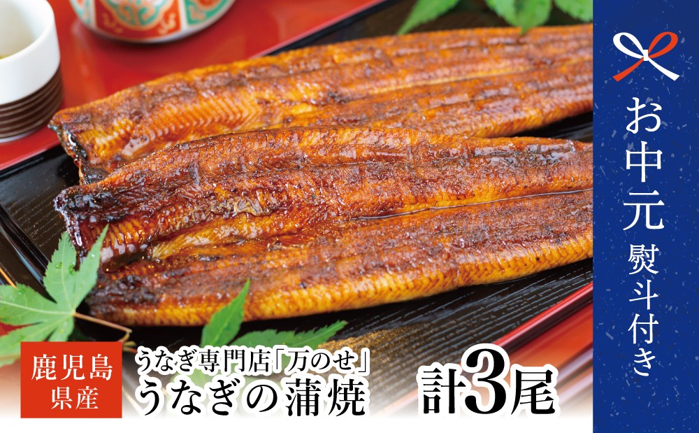 
                  【お中元ギフト】 鹿児島県産 うなぎ蒲焼 3尾 セット うなぎ専門店「万のせ」 ジューシー スタミナ ウナギ 鰻 蒲焼き 国産 うな重 たれ ひつまぶし 山椒 冷凍 簡単調理 お取り寄せグルメ 冷凍 鹿児島県 南さつま市 贈り物 ギフト 贈答用
                