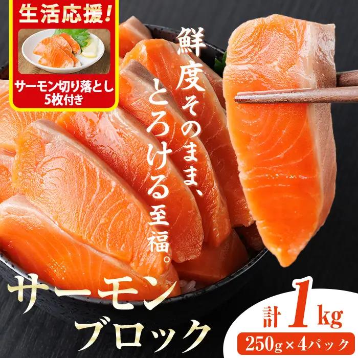 生活応援 サーモン切り落とし5枚付き！生食用 サーモン ブロック(計1kg・250g×4P) 小分け冷凍 魚 【AW-100】【丸正水産】