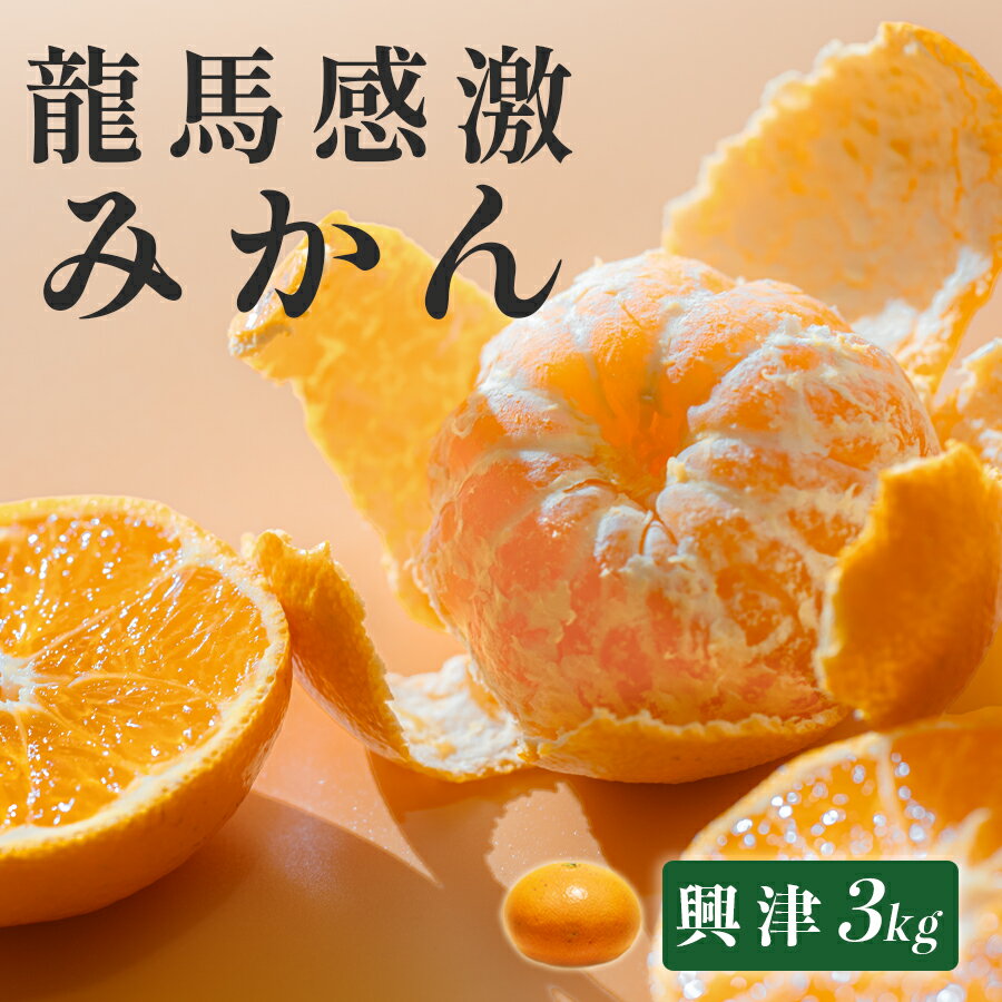 【ふるさと納税】【高知県 大月町産】コーラルフルーツ農場 龍馬感激みかん(興津)　3kg