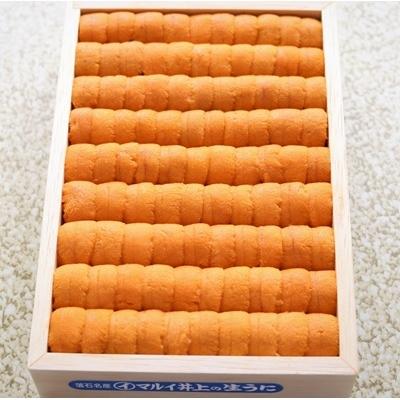 ふるさと納税 根室市 ムラサキウニ250g×2折[7月上旬以降発送] D-53013