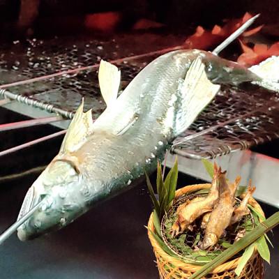 ふるさと納税 新温泉町 清流の天然あゆ(冷凍)食べやすいサイズ　8尾　個包装　兵庫県新温泉町産　 |  | 01