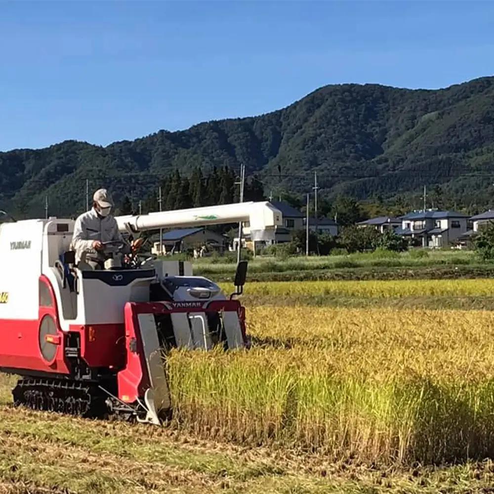 【令和8年産先行予約！】特別栽培米コシヒカリ　白米　5kg　[米・食味分析鑑定コンクール国際大会 特別優秀賞受賞]　【07208-0998】