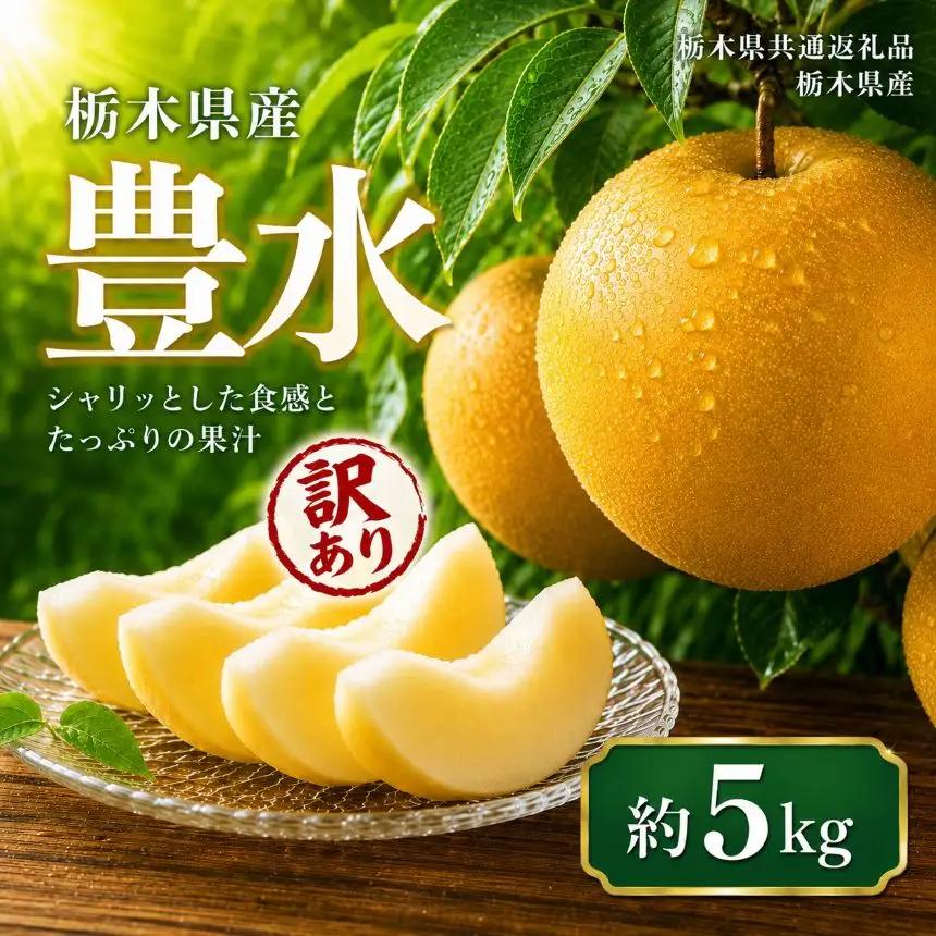 【2027年先行予約】訳ありサイズランダム 豊水 5kg｜栃木県共通返礼品 栃木県産 栃木県 那珂川町