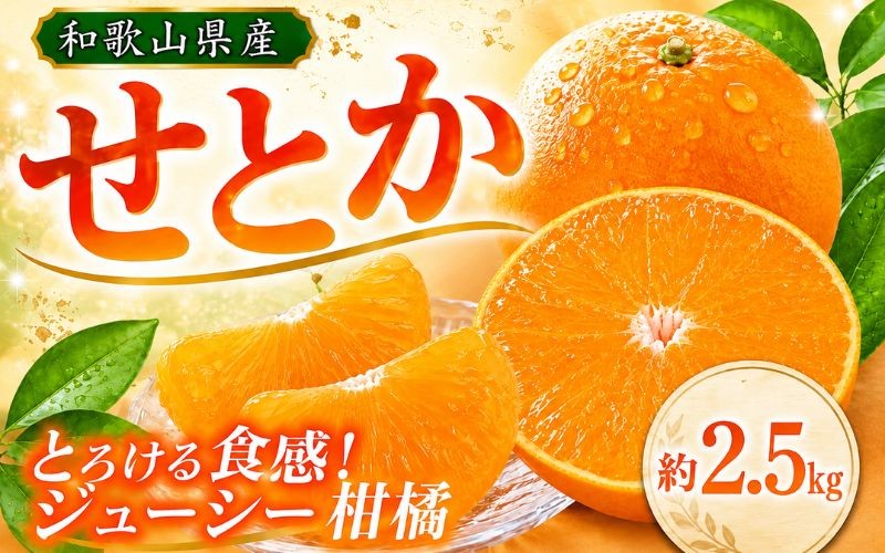 
                  とろける食感 ジューシー柑橘 せとか 約2.5kg みかん 蜜柑 柑橘 オレンジ 果物 フルーツ 国産 和歌山県広川町 【2027年1月下旬頃〜2027年2月上旬頃発送】【Z-uot789A】
                