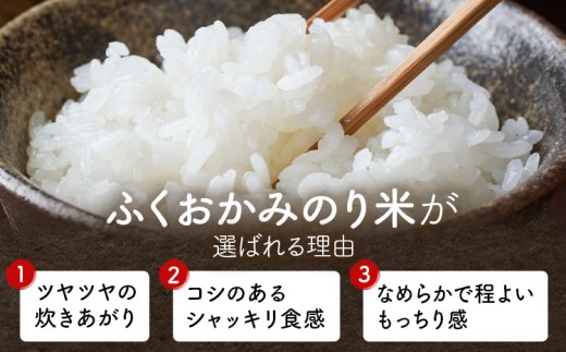 米 ふくおかみのり米  20kg 白米 《1-5日以内に出荷予定(土日祝除く)》お米  ブレンド米