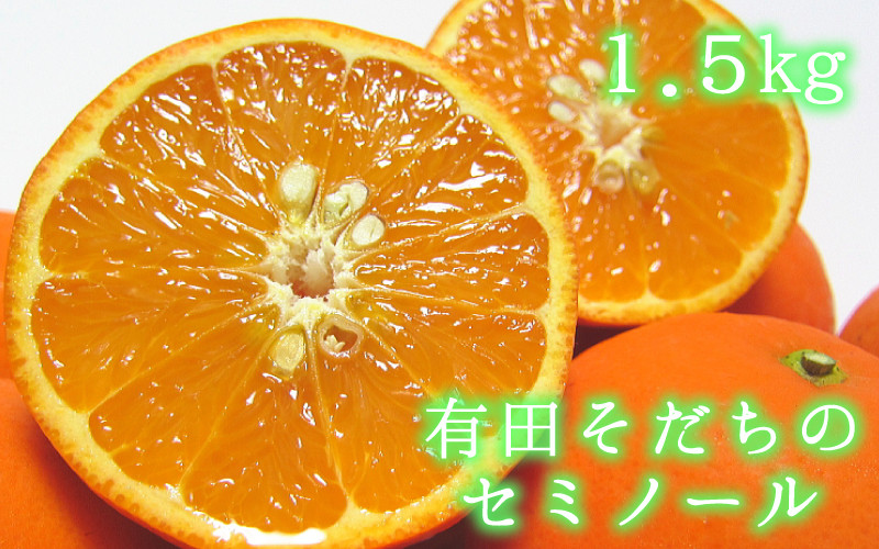 
有田育ちの爽快セミノールオレンジ(ご家庭用)　約1.5kg　※2025年4月より順次発送予定【ard210】
