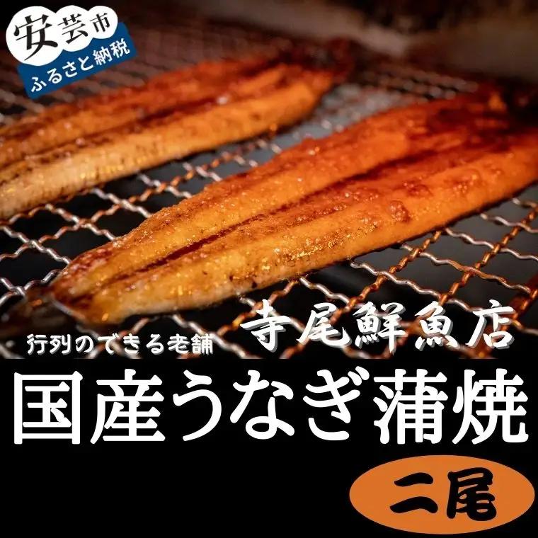 お魚屋さんのうなぎ蒲焼 約400g （2尾）ウナギ ふっくら肉厚 大容量