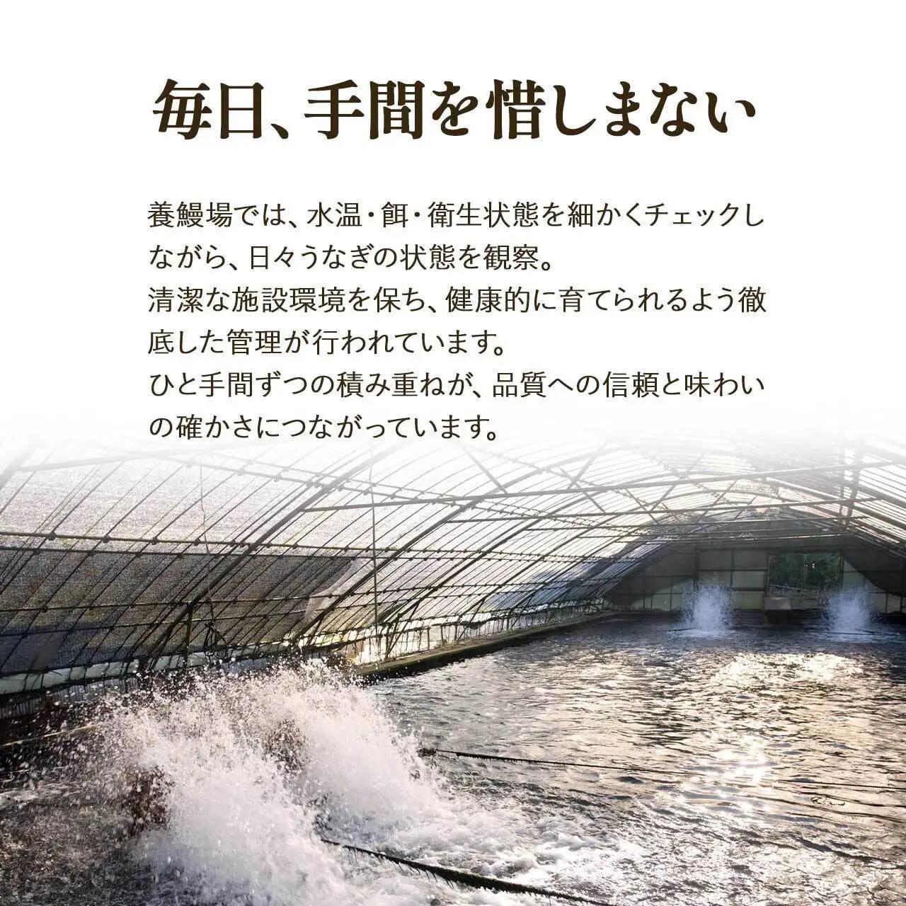 ふるさと納税限定　鹿児島県 大崎町産 国産 うなぎ 長蒲焼 2尾 計320g以上 | 鰻 うなぎ うな重 ひつまぶし ウナギ 人気 おすすめ 大隅半島 DU001