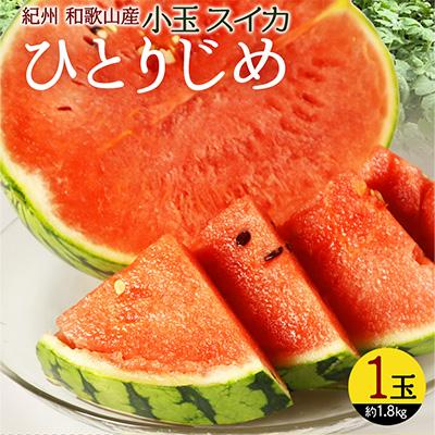 ふるさと納税 印南町 【発送月固定定期便】紀州和歌山産旬のフルーツセット(不知火・清見・スイカ・桃・柿・みかん)全6回 |  | 01
