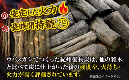 紀州備長炭 荒並 約5kg 望商店 《30日以内に順次出荷(土日祝除く)》 和歌山県 日高川町 備長炭 紀州備長炭 炭 約5kg 高級白炭 BBQ 焼肉 炭火焼き キャンプ レジャー 囲炉裏 国産 備