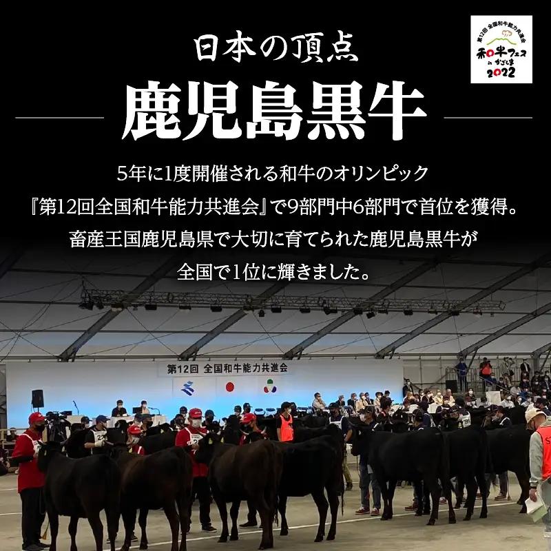 （T-1801）鹿児島黒牛サーロインステーキセット 計800g K127-006 肉 牛肉 冷凍