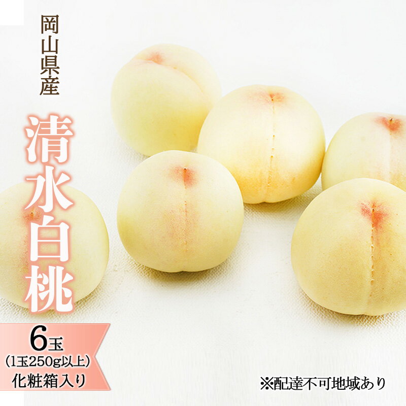 【ふるさと納税】桃 2026年 先行予約 清水 白桃 6玉 （1玉250g以上）化粧箱入り もも モモ 岡山県産 国産 フルーツ 果物 ギフト 最高級 贈答品 贈り物　お届け：2026年7月中旬～2026年8月上旬