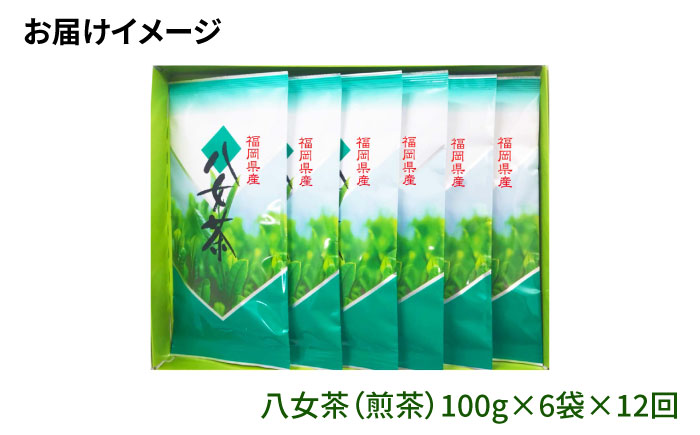 【全12回定期便】八女茶6袋（600g）セット＜お茶の星陽園 ＞那珂川市 [GAD007]