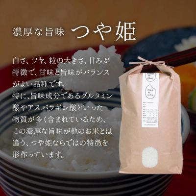 ふるさと納税 角田市 【2026年分先行予約】宮城県角田市産米【令和8年産】つや姫 10kg(5kg×2) |  | 02