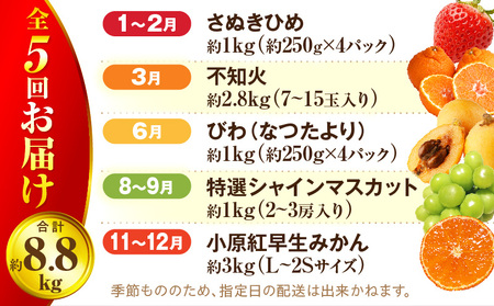 さぬき旬のフルーツ満足 5回定期便 | 果物 フルーツ 青果 青果物 いちご みかん シャインマスカット びわ さぬきひめ 小原紅早生みかん マスカット なつたより 不知火 旬の果物 季節の果物 贈答