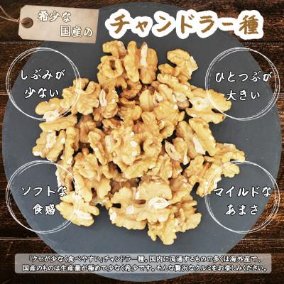 ふるさと納税 長和町 高級くるみ「長和チャンドラー」500g　希少な国産チャンドラー種　信州長和町産　自社農園直送 |  | 01