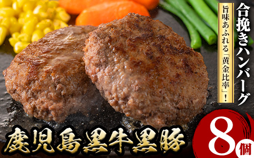 y436 鹿児島黒牛黒豚ハンバーグ(8個・計1.04kg)  肉 お肉 ぶた ブタ 豚肉 牛肉 ミンチ パック 小分け 冷凍 ハンバーグ はんばーぐ 合挽き あいびき  おかず 惣菜 調理 お弁当【さ
