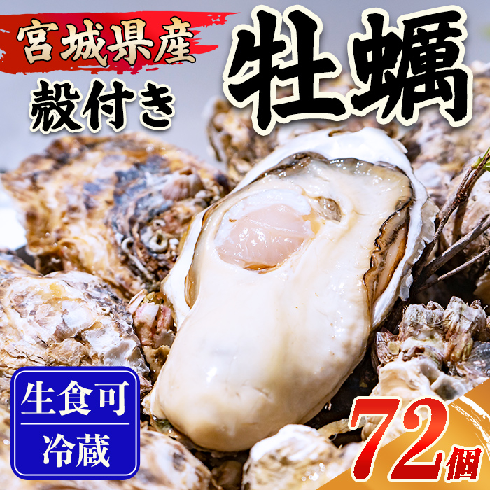 殻付き牡蠣（生食用）冷凍 72個（約6kg） 生牡蠣 宮城県産 牡蛎 牡蠣 カキ かき 生食 オイスター カキフライ 牡蠣鍋 海鮮 国産 魚貝類 バーベキュー BBQ 【末永海産株式会社】sh168