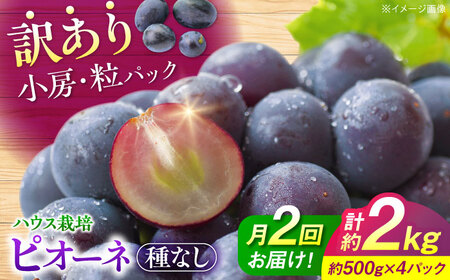 【先行予約】【月2回お届け】【8月上旬から8月末に順次発送】【訳あり】ピオーネkg×2回 ハウス栽培 ぶどう 果物 ピオーネ フルーツ 葡萄 ブドウ[APCM014] ピオーネ ピオーネ ピオーネ ピオーネ ピオーネ