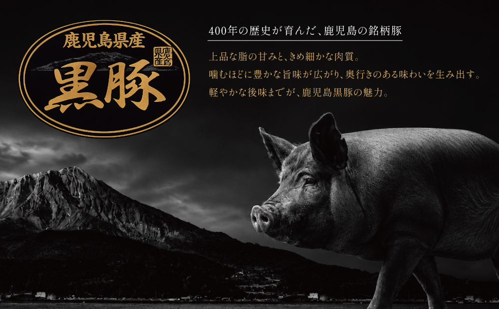 鹿児島県産黒豚 ミニロールステーキ140g×5袋（700ｇ） 小分け 国産 ブランド豚 おかず 惣菜 簡単 お手軽 冷凍 食品 夕飯 お弁当 時短 簡単調理 鹿児島県 南さつま市 株式会社コワダヤ