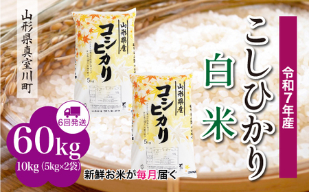 ＜令和7年産米＞ 令和8年3月中旬より発送 こしひかり【白米】60kg定期便(10kg×6回) 山形県真室川町　◆RR7K6010M-H2603B