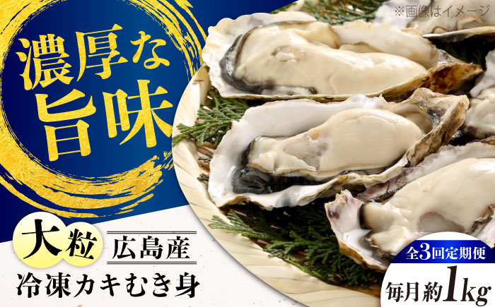 
            【全3回定期便】牡蠣 冷凍 こだわり大粒牡蠣むき身【瞬間冷凍】 約1kg 牡蠣 かき カキ 大粒 かき 海鮮 和食 海産物 広島県産 江田島市/有限会社マルイチ水産 [XCU014]
          