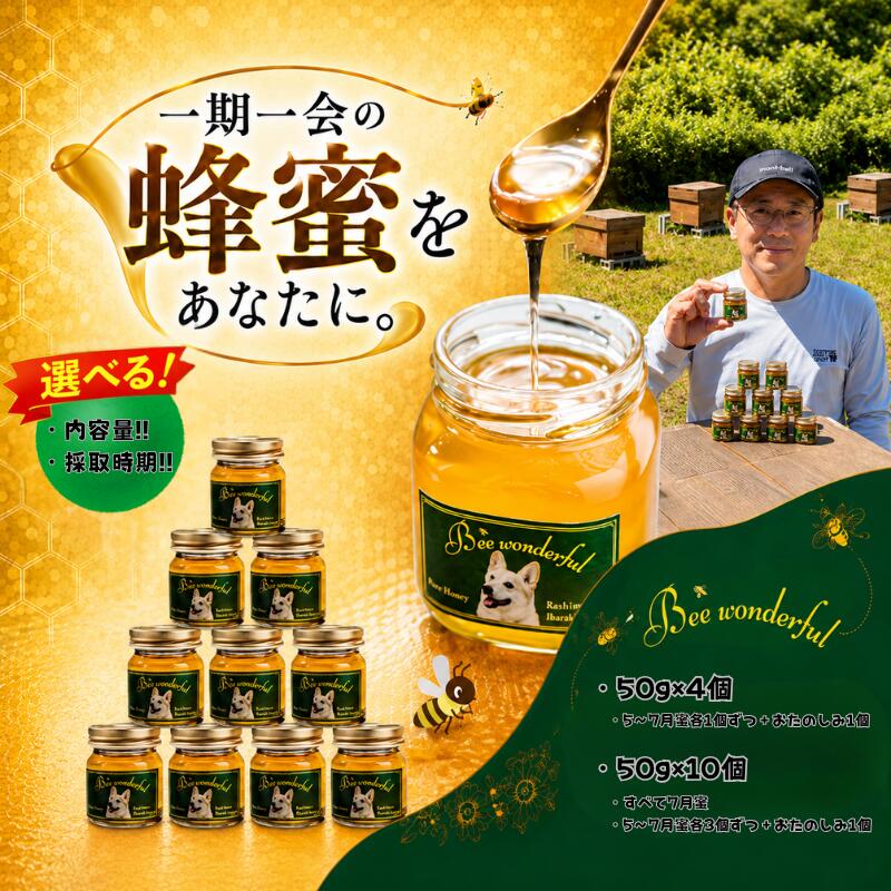 【ふるさと納税】 はちみつ 【選べる】 5月蜜 6月蜜 7月蜜 百花蜜 養蜂 自家採蜜 非加熱 添加物不使用 蜂蜜 産地直送 50g×4個 50g×10個 贈答用 贈答 ハニー 国産 プレゼント 一期一会 ギフト 栄養 自然のめぐみ 日常使い ふるさと納税 茨城県 鹿嶋市
