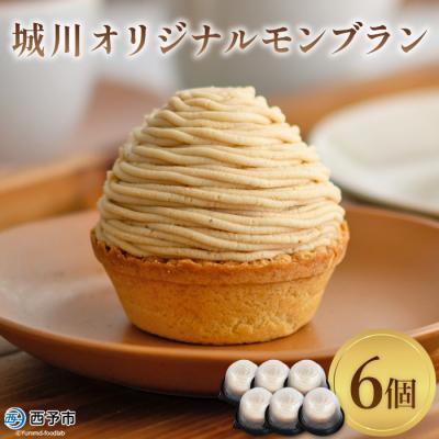 ふるさと納税 西予市 &lt;城川オリジナルモンブラン (6個入)&gt;　スイーツ　お菓子　マロン　和栗　西予市　国産
