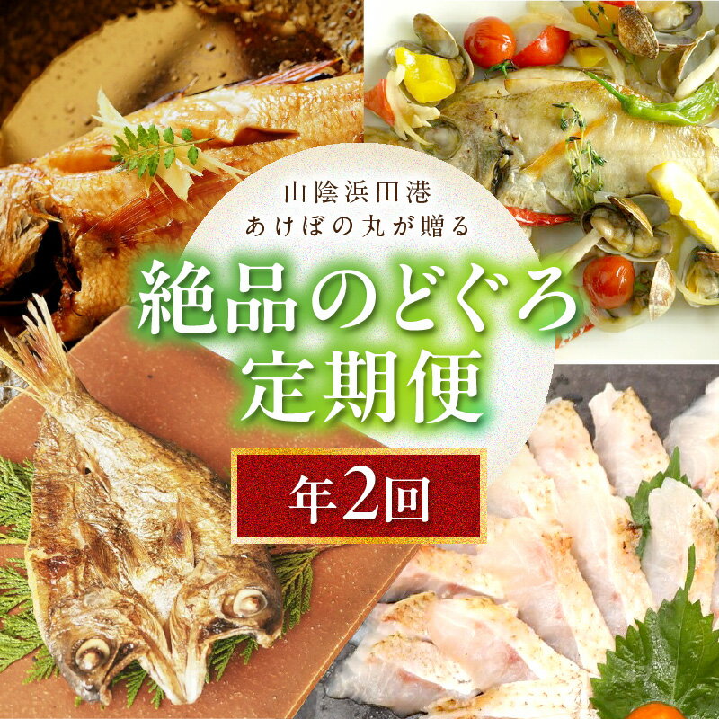 【ふるさと納税】山陰浜田港あけぼの丸が贈る絶品のどぐろ定期便（2回）魚介 のどぐろ 一夜干し 刺し身 セット ふるさと納税 定期便 海鮮 定期 2回 【146_2047】