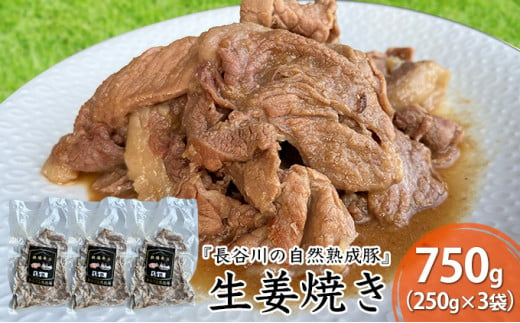 
生姜焼き　750g（250g×3袋）【湯煎でカンタン調理『長谷川の自然熟成豚』で作った生姜焼き】肉
