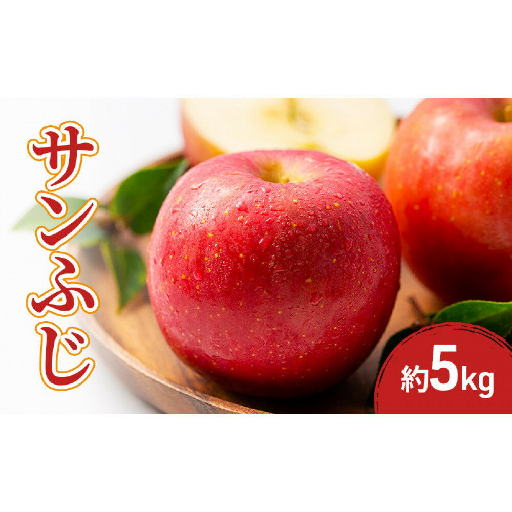 【ふるさと納税】2026年産先行予約サンふじ 5kg 果物 フルーツ りんご 長野県