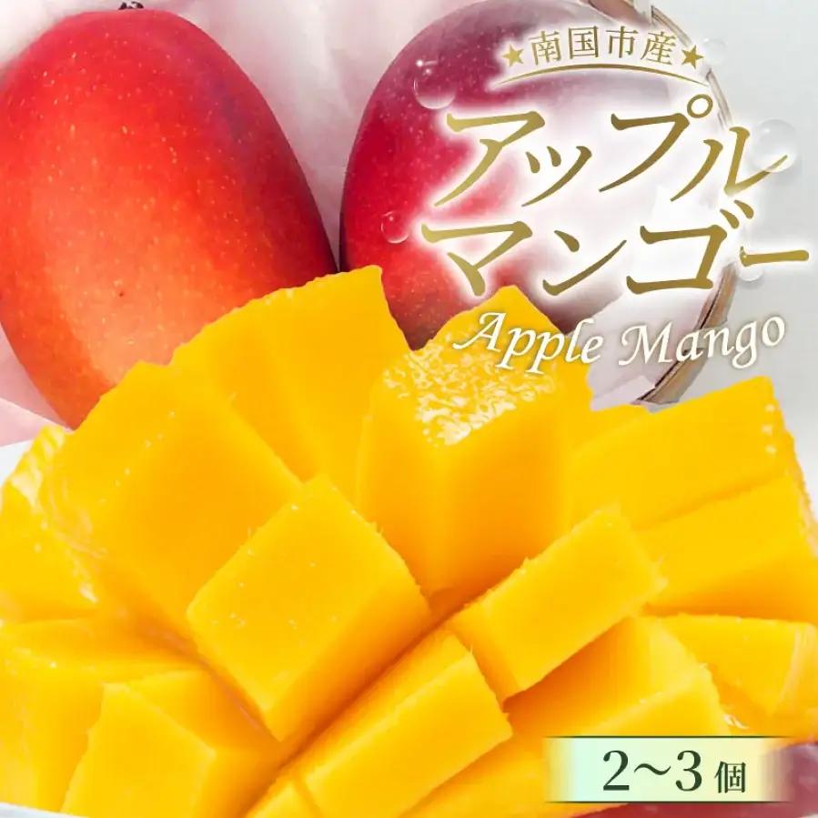 【先行予約 2026年発送】完熟マンゴー 2個～3個 0.8g～1kg | アップルマンゴー
