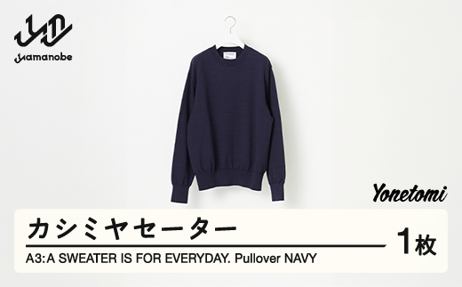 
            ≪先行予約≫ A3: A SWEATER IS FOR EVERYDAY. Pullover NAVY ネイビー カシミヤセーター 服 洋服 ユニセックス メンズ レディース ブランド 数量限定 山形県 山辺町 yt-sepon
          