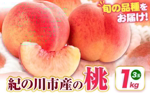 桃 紀の川市産 約1kg(3玉) 紀農人株式会社《2025年6月上旬-8月中旬頃出荷》 和歌山県 紀の川市 果物 フルーツ 桃 もも モモ 旬