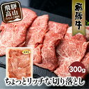 飛騨牛 切り落とし 300g みすじ ウデ すき焼き しゃぶしゃぶ 希少部位 和牛 国産牛 ブランド牛 冷凍 飛騨高山 飛騨牛のこもり TR3450