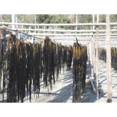 ふるさと納税 由良町 紀州衣奈(えな)そだち (わかめ軸佃煮)　4箱 |  | 01