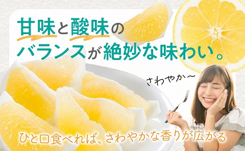 《2026年発送》【数量・期間限定】宮崎県産日向夏2.5kg　化粧箱入り_M359-005